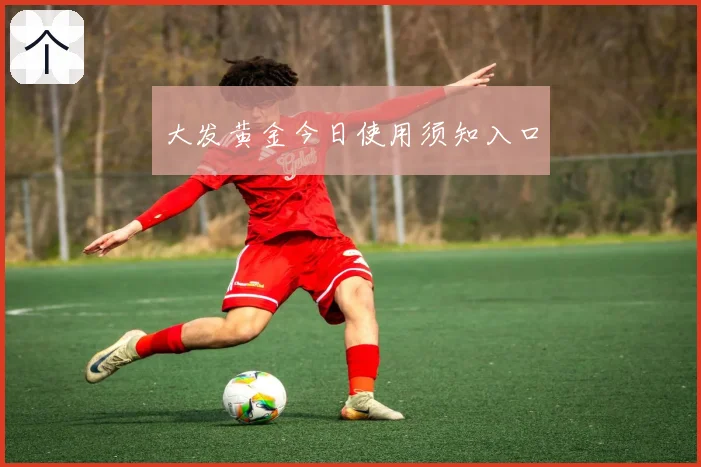 大发黄金今日使用须知入口